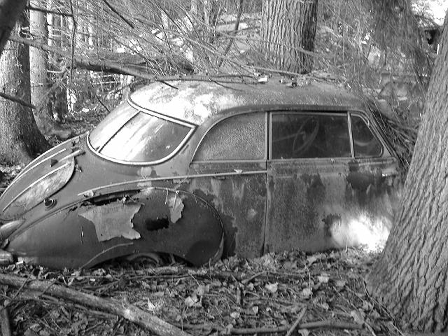 Autofriedhof - 086.JPG - Historischer Autofriedhof,    Gürbetal (CH)